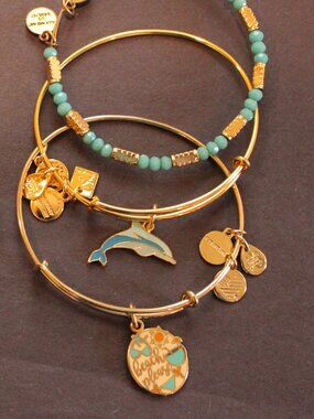 Alex and Ani 3-piece beach please gold bangle set